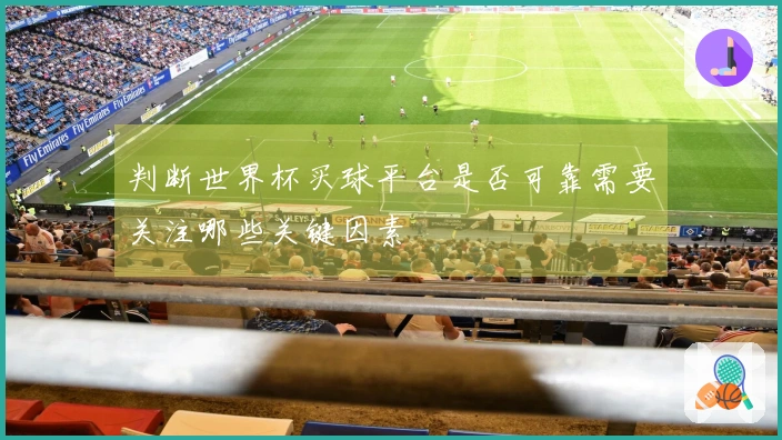 判断世界杯买球平台是否可靠需要关注哪些关键因素