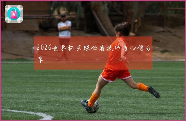 2026世界杯买球必看技巧与心得分享