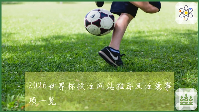 2026世界杯投注网站推荐及注意事项一览