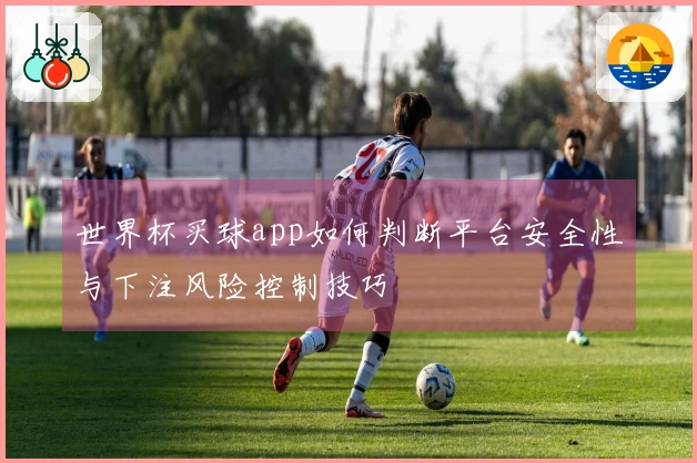 世界杯买球app如何判断平台安全性与下注风险控制技巧
