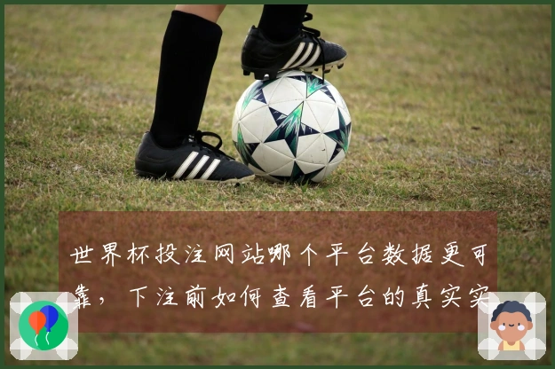世界杯投注网站哪个平台数据更可靠，下注前如何查看平台的真实实力