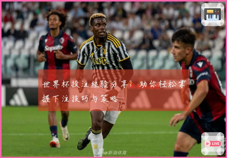 世界杯投注经验分享，助你轻松掌握下注技巧与策略