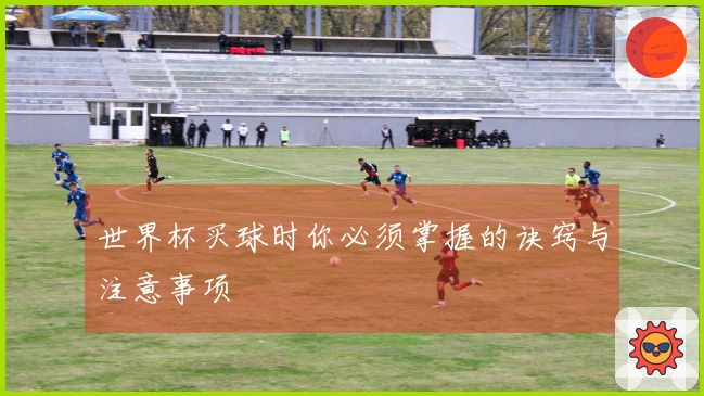 世界杯买球时你必须掌握的诀窍与注意事项