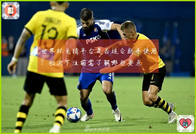 世界杯竞猜平台是否适合新手使用？初次下注前需了解哪些要点