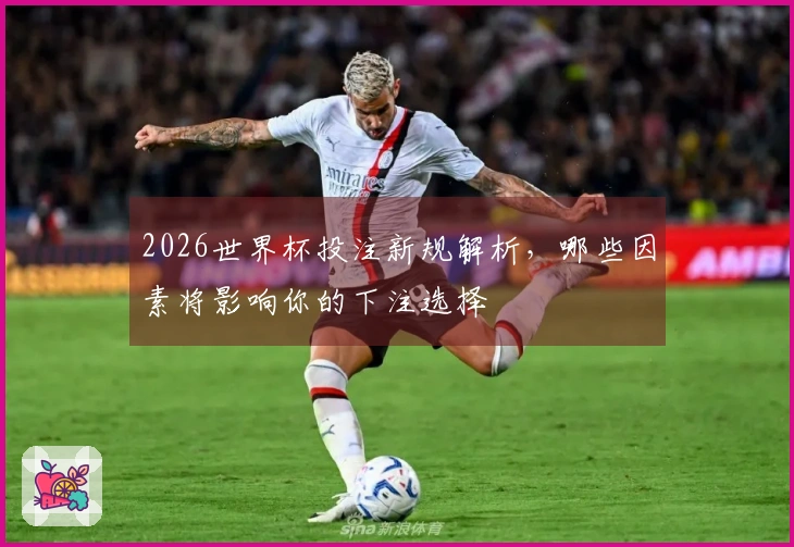 2026世界杯投注新规解析，哪些因素将影响你的下注选择
