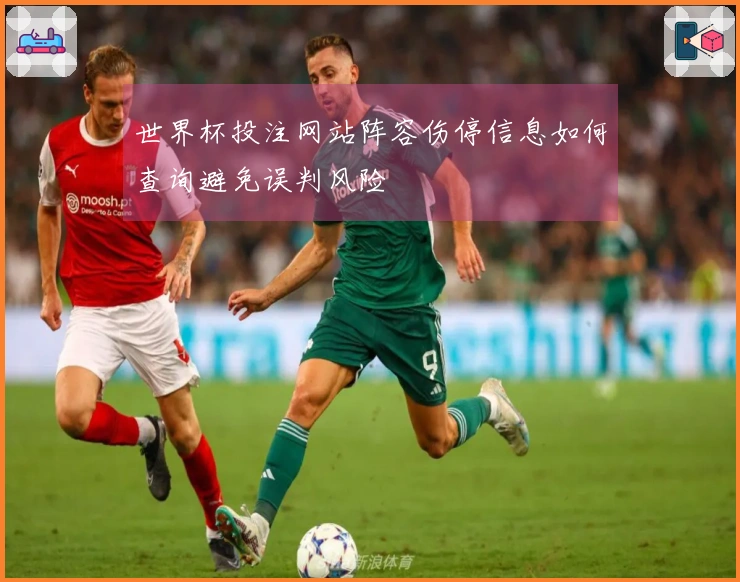 世界杯投注网站阵容伤停信息如何查询避免误判风险