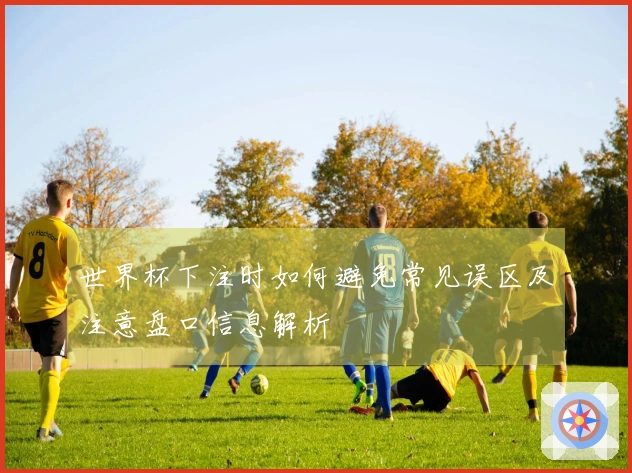 世界杯下注时如何避免常见误区及注意盘口信息解析