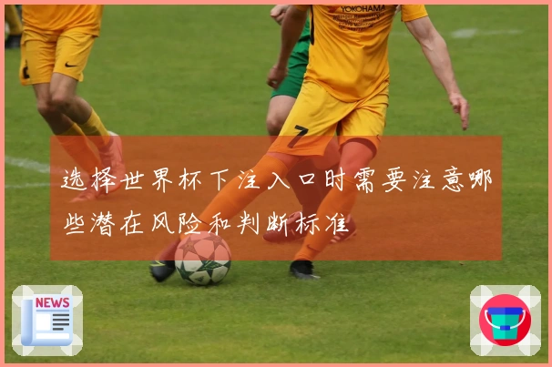 选择世界杯下注入口时需要注意哪些潜在风险和判断标准