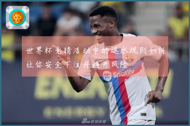 世界杯竞猜活动中的返水规则如何让你安全下注并避开风险