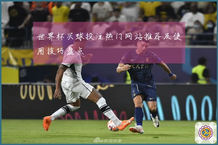 世界杯买球投注热门网站推荐及使用技巧盘点