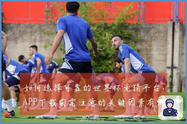 如何选择可靠的世界杯竞猜平台，APP下载前需注意的关键因素有哪些