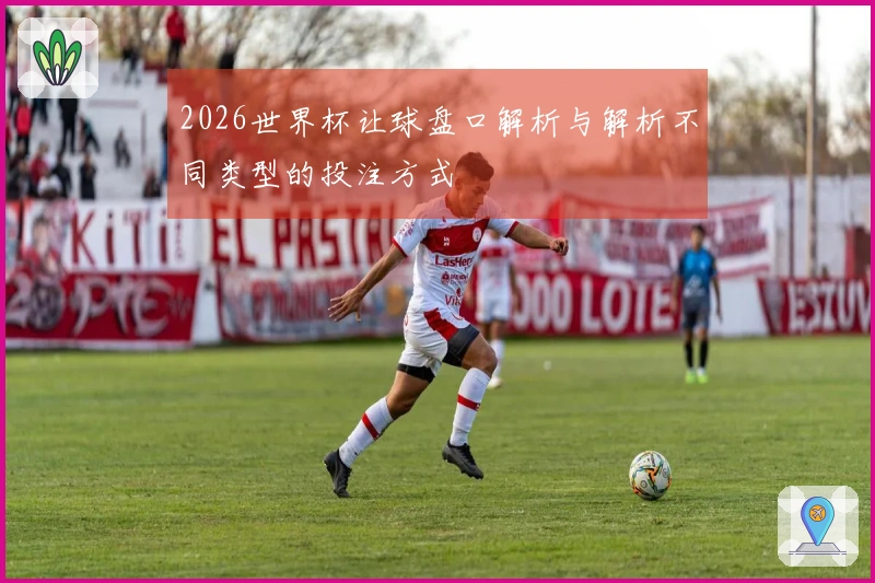 2026世界杯让球盘口解析与解析不同类型的投注方式