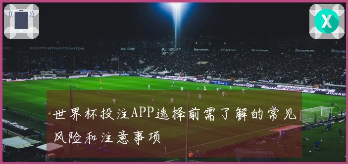 世界杯投注APP选择前需了解的常见风险和注意事项