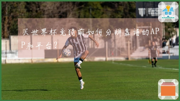 买世界杯竞猜前如何分辨靠谱的APP和平台？
