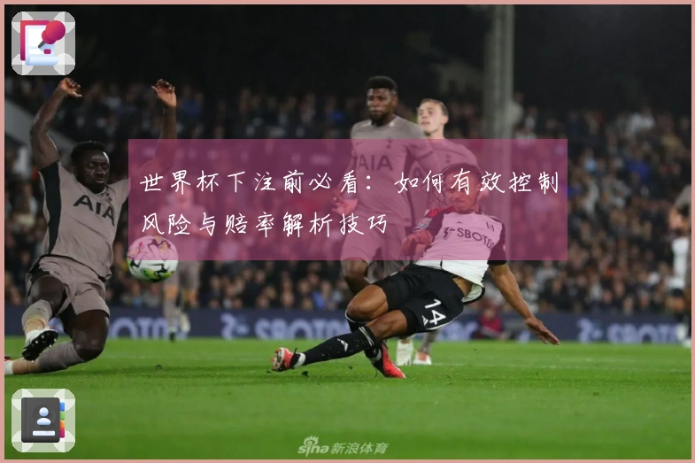 世界杯下注前必看：如何有效控制风险与赔率解析技巧
