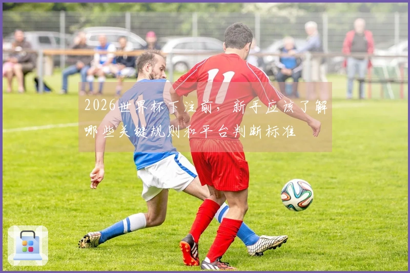 2026世界杯下注前，新手应该了解哪些关键规则和平台判断标准