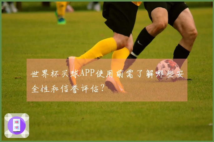 世界杯买球APP使用前需了解哪些安全性和信誉评估？