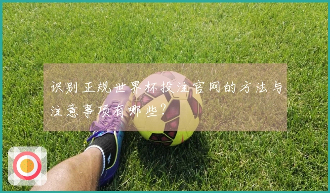 识别正规世界杯投注官网的方法与注意事项有哪些？