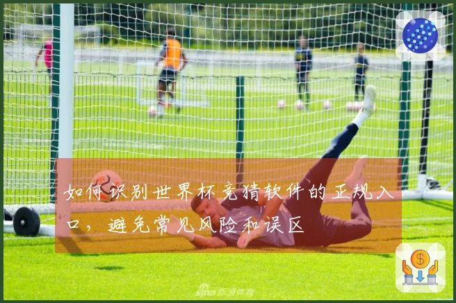 如何识别世界杯竞猜软件的正规入口，避免常见风险和误区