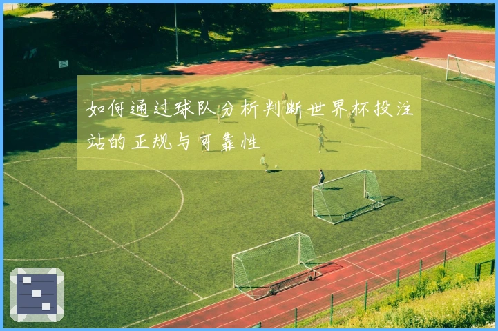 如何通过球队分析判断世界杯投注站的正规与可靠性