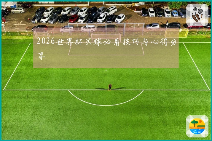 2026世界杯买球必看技巧与心得分享