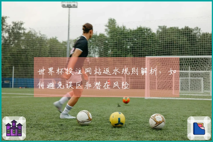 世界杯投注网站返水规则解析，如何避免误区和潜在风险