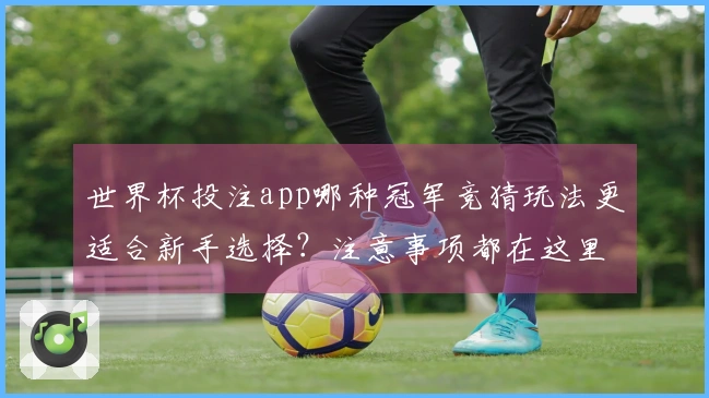 世界杯投注app哪种冠军竞猜玩法更适合新手选择？注意事项都在这里！