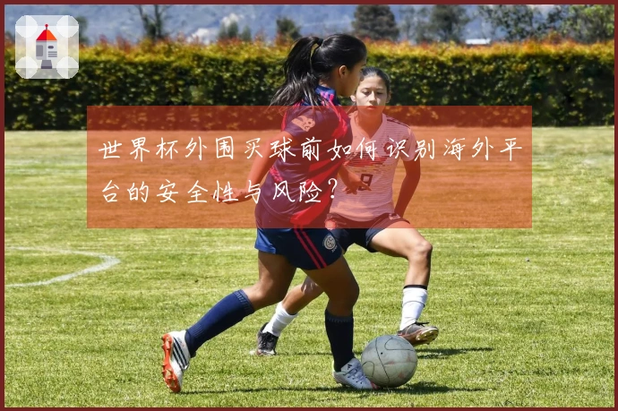 世界杯外围买球前如何识别海外平台的安全性与风险？