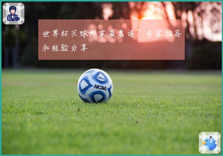 世界杯买球哪家最靠谱？专家推荐和经验分享