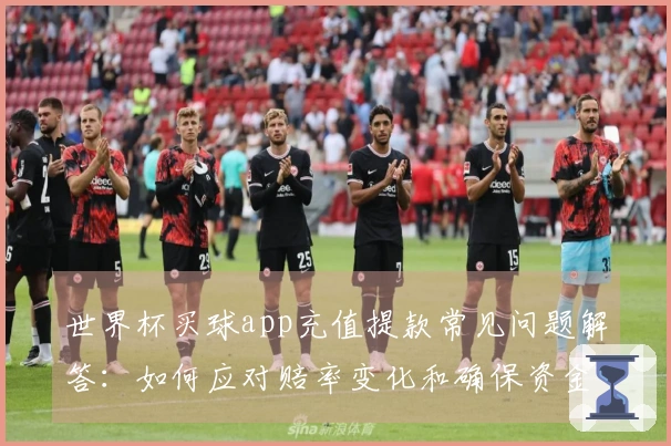 世界杯买球app充值提款常见问题解答：如何应对赔率变化和确保资金安全