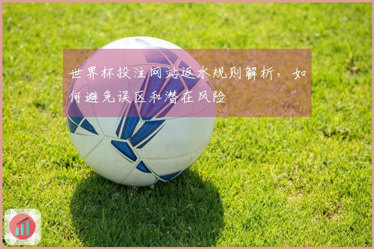 世界杯投注网站返水规则解析，如何避免误区和潜在风险