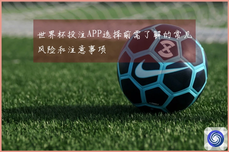 世界杯投注APP选择前需了解的常见风险和注意事项