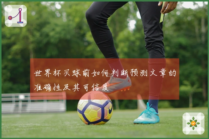 世界杯买球前如何判断预测文章的准确性及其可信度