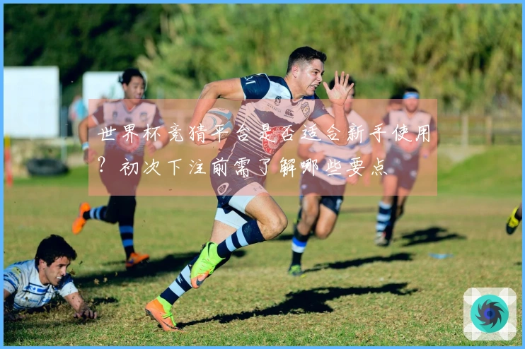 世界杯竞猜平台是否适合新手使用？初次下注前需了解哪些要点