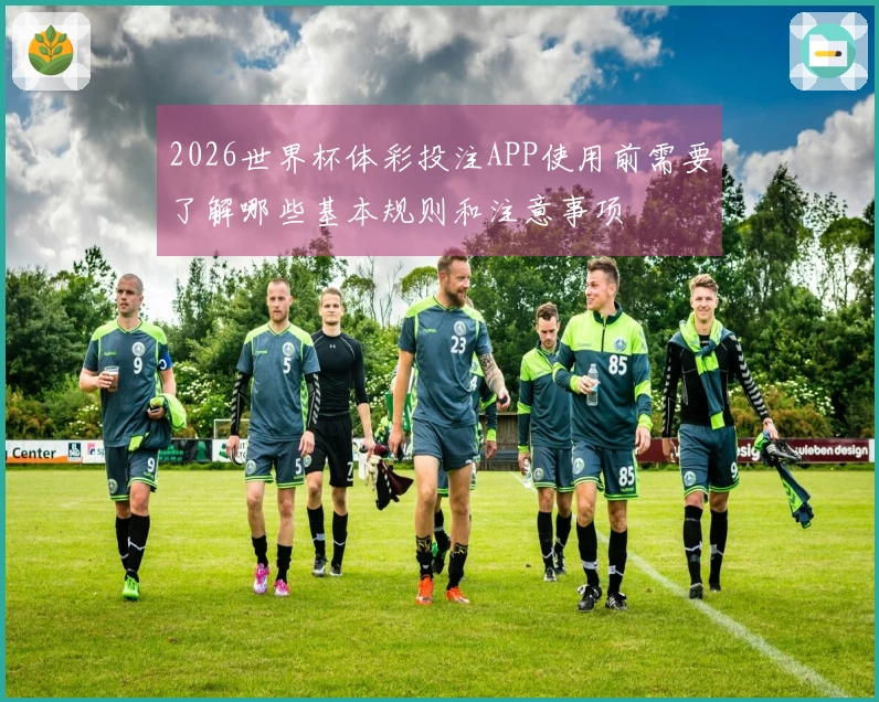 2026世界杯体彩投注APP使用前需要了解哪些基本规则和注意事项
