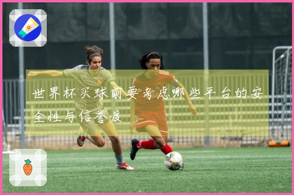 世界杯买球前要考虑哪些平台的安全性与信誉度