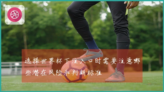 选择世界杯下注入口时需要注意哪些潜在风险和判断标准