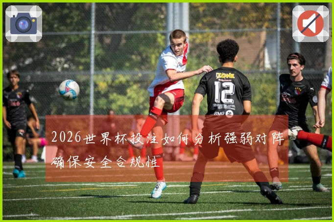 2026世界杯投注如何分析强弱对阵确保安全合规性