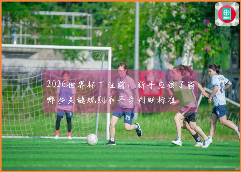 2026世界杯下注前，新手应该了解哪些关键规则和平台判断标准